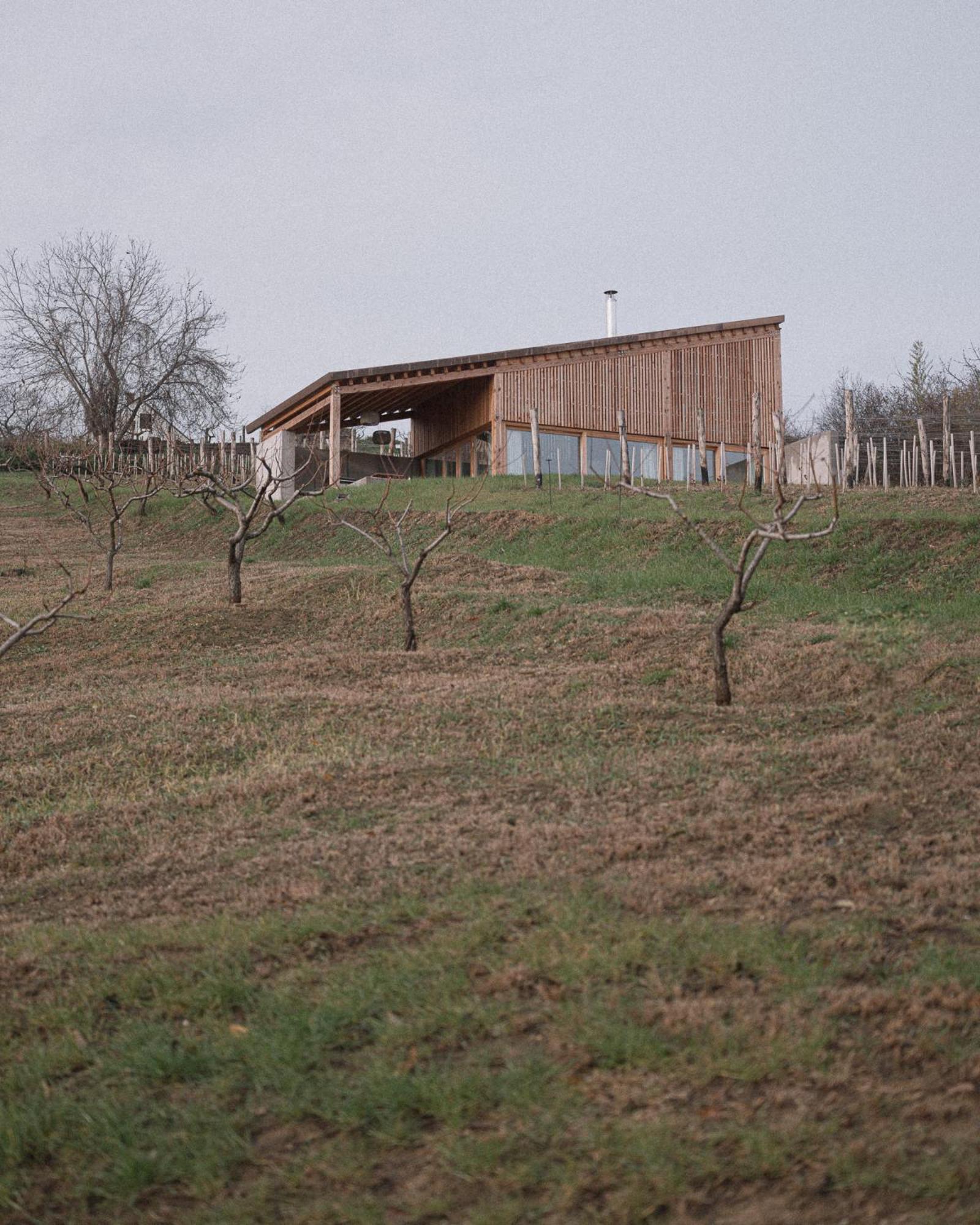 Szegzard - The Lodge Szekszárd Dış mekan fotoğraf